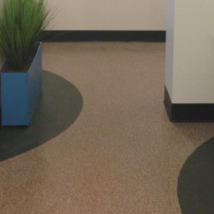 Granite Chip Pet Facility